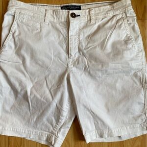 American Eagle Outfitters Men's Shorts